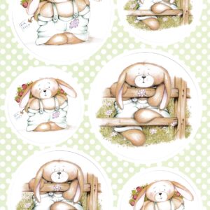 buzzcraft honey bunny flowers toppers & background card