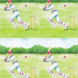 craft creations cricket topper sheet