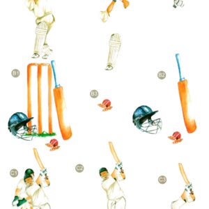 craft uk 3d decoupage sheet cricket