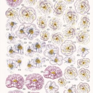 create & craft 3d floral decoupage (flower montage)