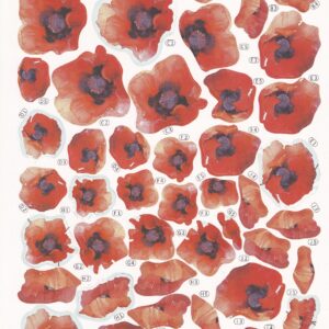 create & craft 3d floral decoupage (poppy)