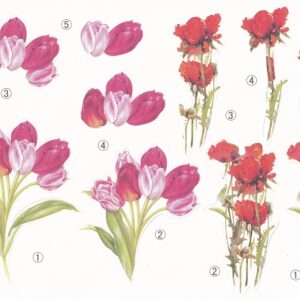 create & craft 3d floral decoupage (tulip & roses)