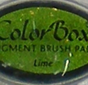 colorbox cats eye pigment brush pad lime