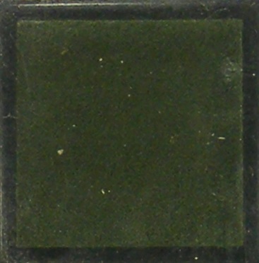 unbranded mini pigment ink pad forest green