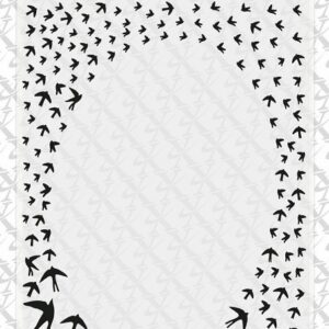 xcut a5 swallow frame embossing folder