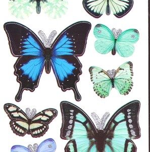 Docrafts - Anita's Dimensions Wings Blue