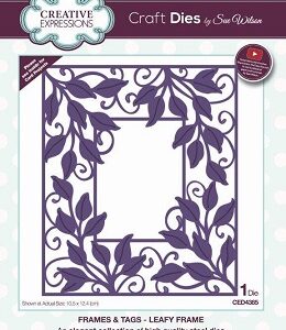 Creative Expressions - Leafy Frame Die Set