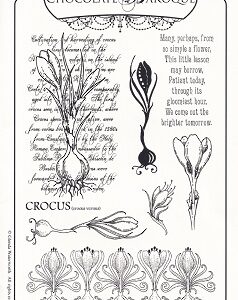 Chocolate Baroque - Elegant Crocus Rubber Stamp Sheet