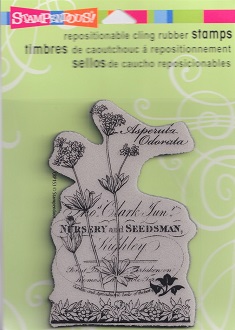 Stampendous! - Botanical Asperula Cling Rubber Stamp