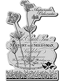 Stampendous! - Botanical Asperula Cling Rubber Stamp - Image 4