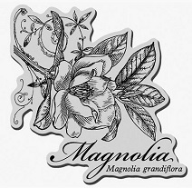 Stampendous! - Botanical Magnolia Cling Rubber Stamp - Image 4