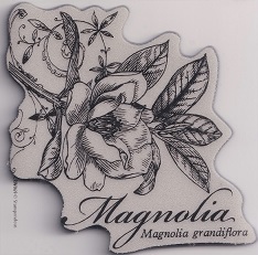 Stampendous! - Botanical Magnolia Cling Rubber Stamp - Image 2