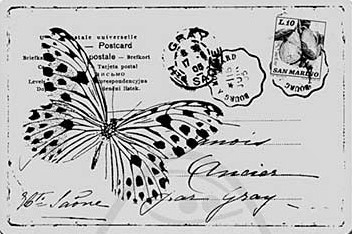 Stampendous! - Butterfly Post Cling Rubber Stamp - Image 4